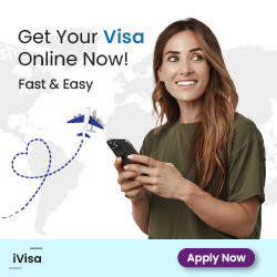 Online visa